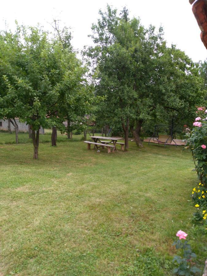 Apartman Nina Licko Petrovo Selo Экстерьер фото